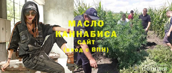 сатива Елабуга