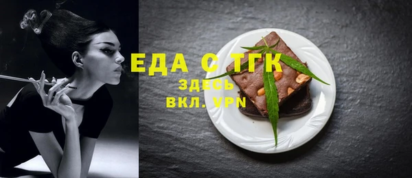 индика Заводоуковск