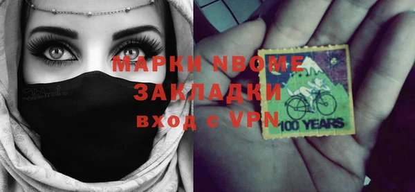 индика Заводоуковск