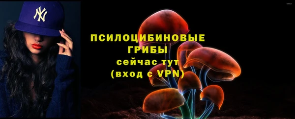 сатива Елабуга