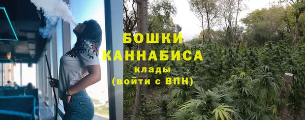 сатива Елабуга