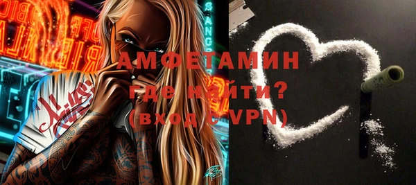 индика Заводоуковск