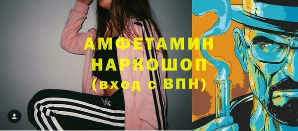 индика Заводоуковск