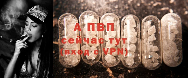 сатива Елабуга