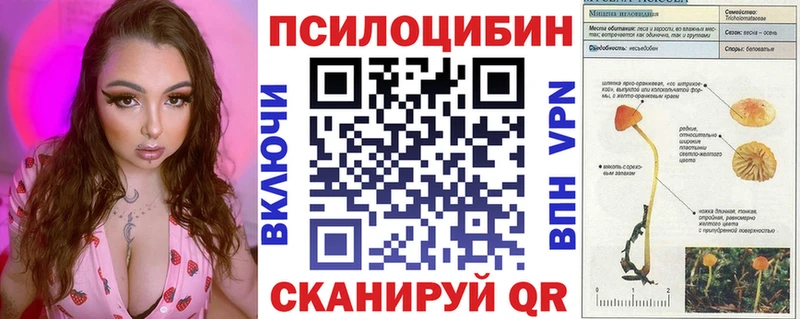 Псилоцибиновые грибы мухоморы  сайты даркнета официальный сайт  Вельск  купить  цена 